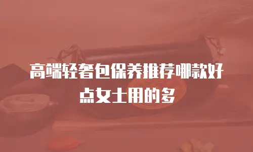 高端轻奢包保养推荐哪款好点女士用的多