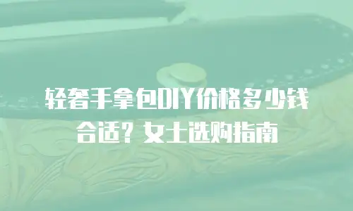 轻奢手拿包DIY价格多少钱合适？女士选购指南