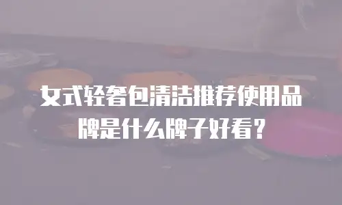 女式轻奢包清洁推荐使用品牌是什么牌子好看？