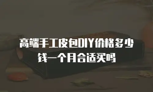 高端手工皮包DIY价格多少钱一个月合适买吗