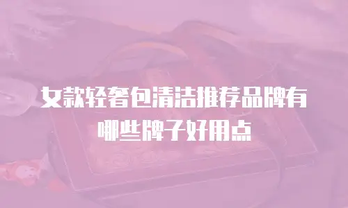 女款轻奢包清洁推荐品牌有哪些牌子好用点