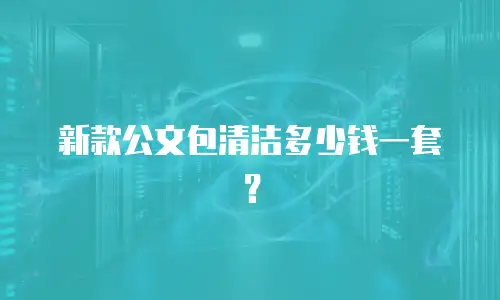 新款公文包清洁多少钱一套？