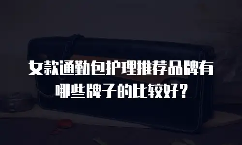 女款通勤包护理推荐品牌有哪些牌子的比较好？
