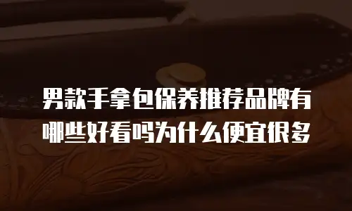 男款手拿包保养推荐品牌有哪些好看吗为什么便宜很多