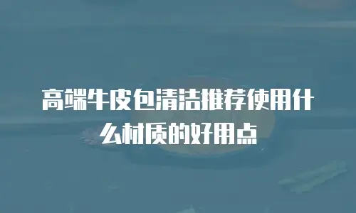 高端牛皮包清洁推荐使用什么材质的好用点