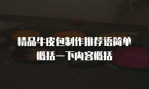 精品牛皮包制作推荐语简单概括一下内容概括
