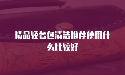 精品轻奢包清洁推荐使用什么比较好