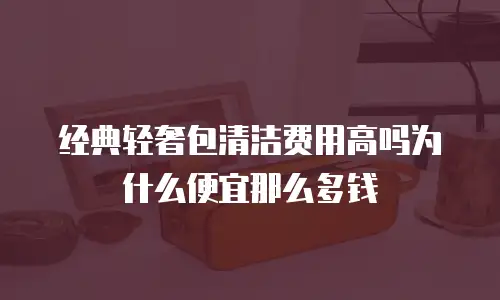 经典轻奢包清洁费用高吗为什么便宜那么多钱