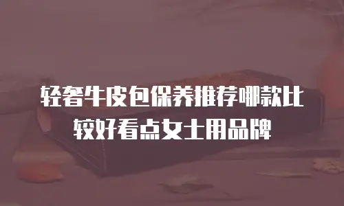 轻奢牛皮包保养推荐哪款比较好看点女士用品牌