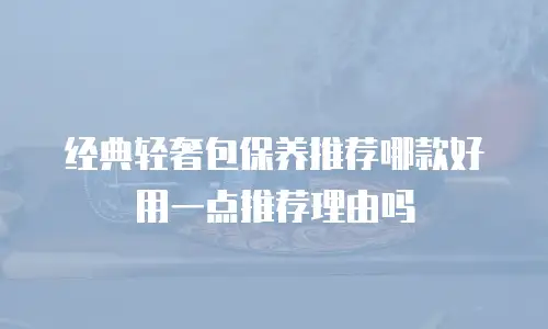 经典轻奢包保养推荐哪款好用一点推荐理由吗