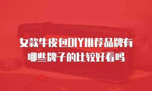 女款牛皮包DIY推荐品牌有哪些牌子的比较好看吗