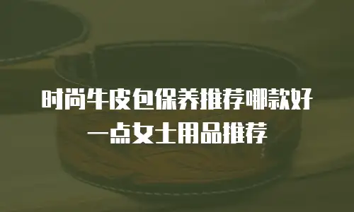 时尚牛皮包保养推荐哪款好一点女士用品推荐