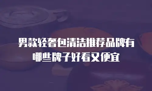 男款轻奢包清洁推荐品牌有哪些牌子好看又便宜