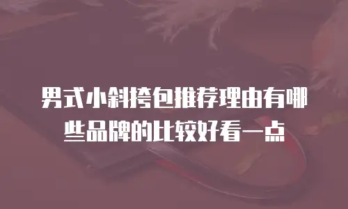 男式小斜挎包推荐理由有哪些品牌的比较好看一点