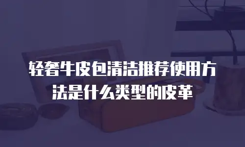 轻奢牛皮包清洁推荐使用方法是什么类型的皮革