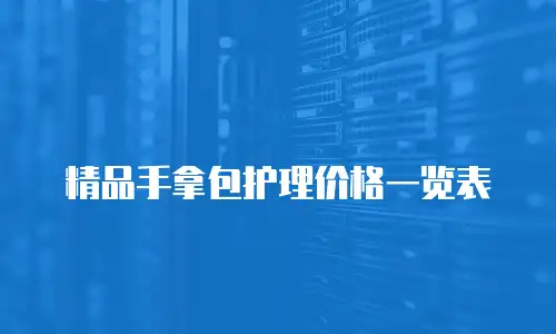 精品手拿包护理价格一览表