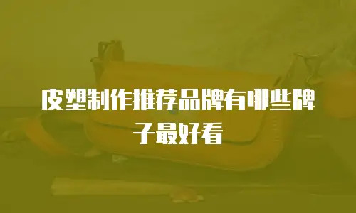 皮塑制作推荐品牌有哪些牌子最好看