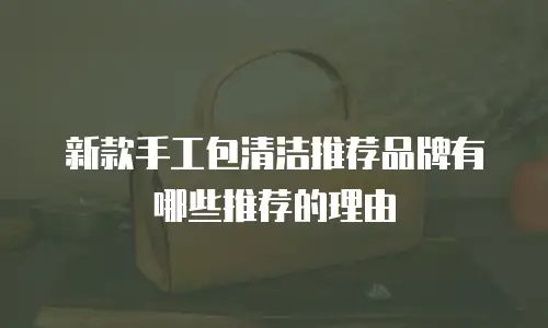 新款手工包清洁推荐品牌有哪些推荐的理由