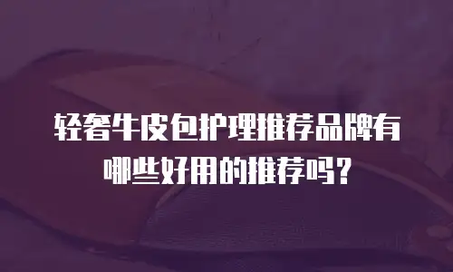 轻奢牛皮包护理推荐品牌有哪些好用的推荐吗？