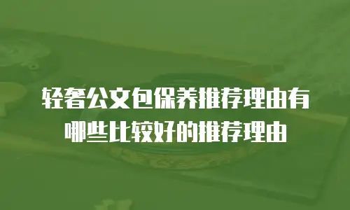 轻奢公文包保养推荐理由有哪些比较好的推荐理由