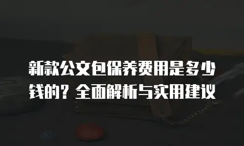 新款公文包保养费用是多少钱的？全面解析与实用建议