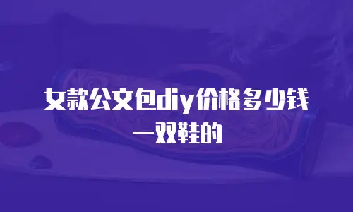 女款公文包diy价格多少钱一双鞋的