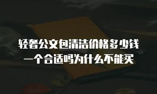 轻奢公文包清洁价格多少钱一个合适吗为什么不能买