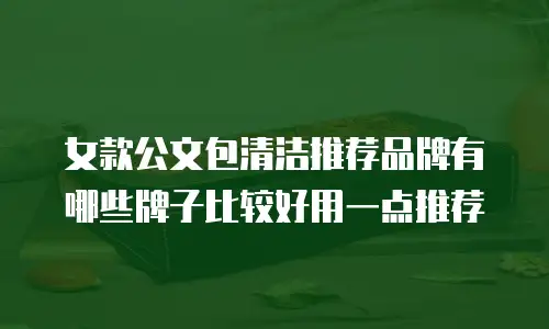 女款公文包清洁推荐品牌有哪些牌子比较好用一点推荐