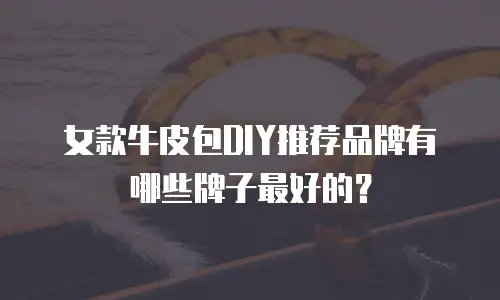 女款牛皮包DIY推荐品牌有哪些牌子最好的？