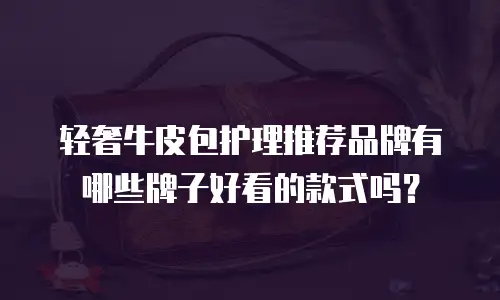 轻奢牛皮包护理推荐品牌有哪些牌子好看的款式吗？