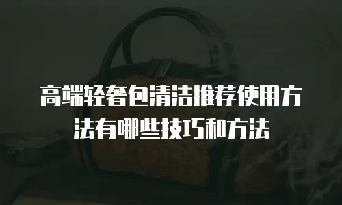 高端轻奢包清洁推荐使用方法有哪些技巧和方法