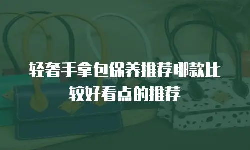 轻奢手拿包保养推荐哪款比较好看点的推荐