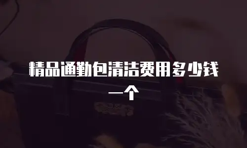 精品通勤包清洁费用多少钱一个