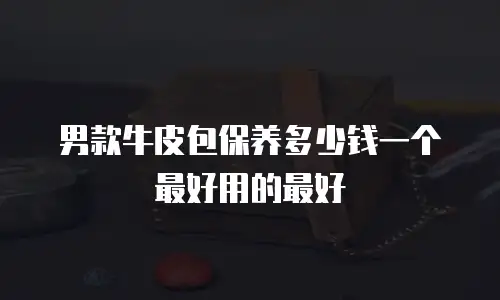 男款牛皮包保养多少钱一个最好用的最好
