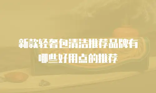 新款轻奢包清洁推荐品牌有哪些好用点的推荐
