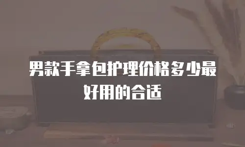男款手拿包护理价格多少最好用的合适
