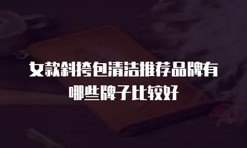 女款斜挎包清洁推荐品牌有哪些牌子比较好