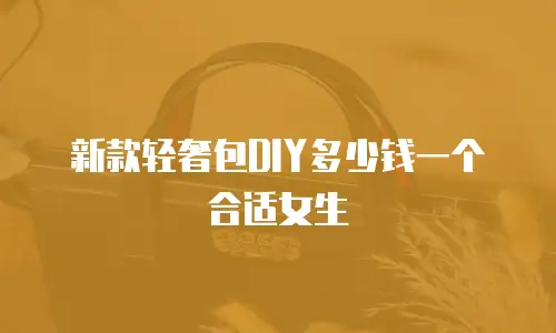 新款轻奢包DIY多少钱一个合适女生