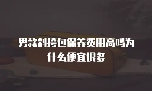 男款斜挎包保养费用高吗为什么便宜很多
