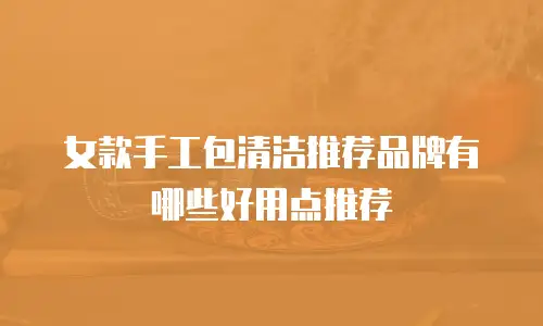 女款手工包清洁推荐品牌有哪些好用点推荐