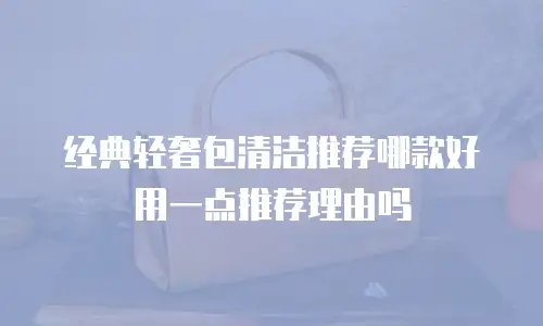 经典轻奢包清洁推荐哪款好用一点推荐理由吗