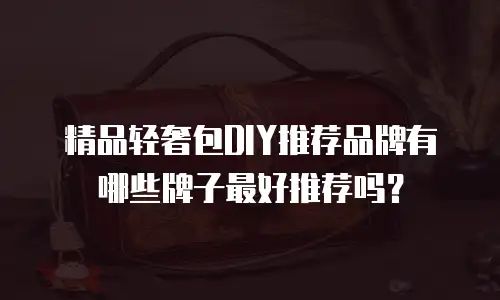 精品轻奢包DIY推荐品牌有哪些牌子最好推荐吗？