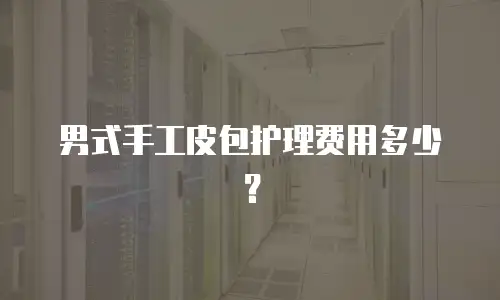 男式手工皮包护理费用多少？