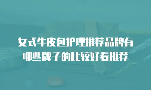 女式牛皮包护理推荐品牌有哪些牌子的比较好看推荐