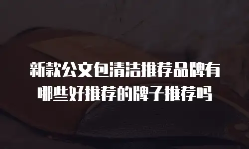 新款公文包清洁推荐品牌有哪些好推荐的牌子推荐吗
