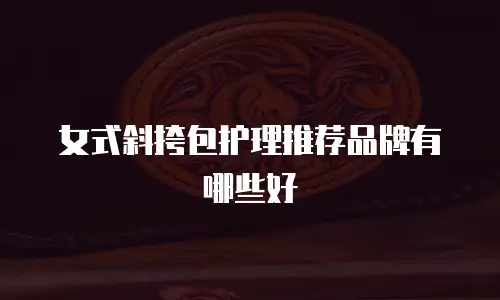 女式斜挎包护理推荐品牌有哪些好
