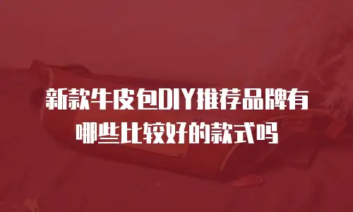 新款牛皮包DIY推荐品牌有哪些比较好的款式吗
