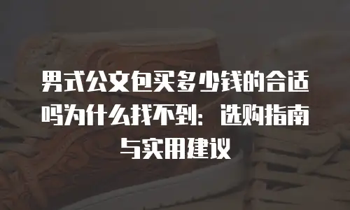 男式公文包买多少钱的合适吗为什么找不到：选购指南与实用建议