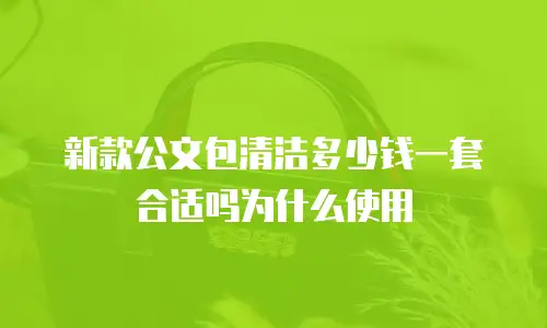 新款公文包清洁多少钱一套合适吗为什么使用
