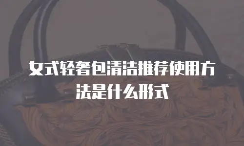 女式轻奢包清洁推荐使用方法是什么形式